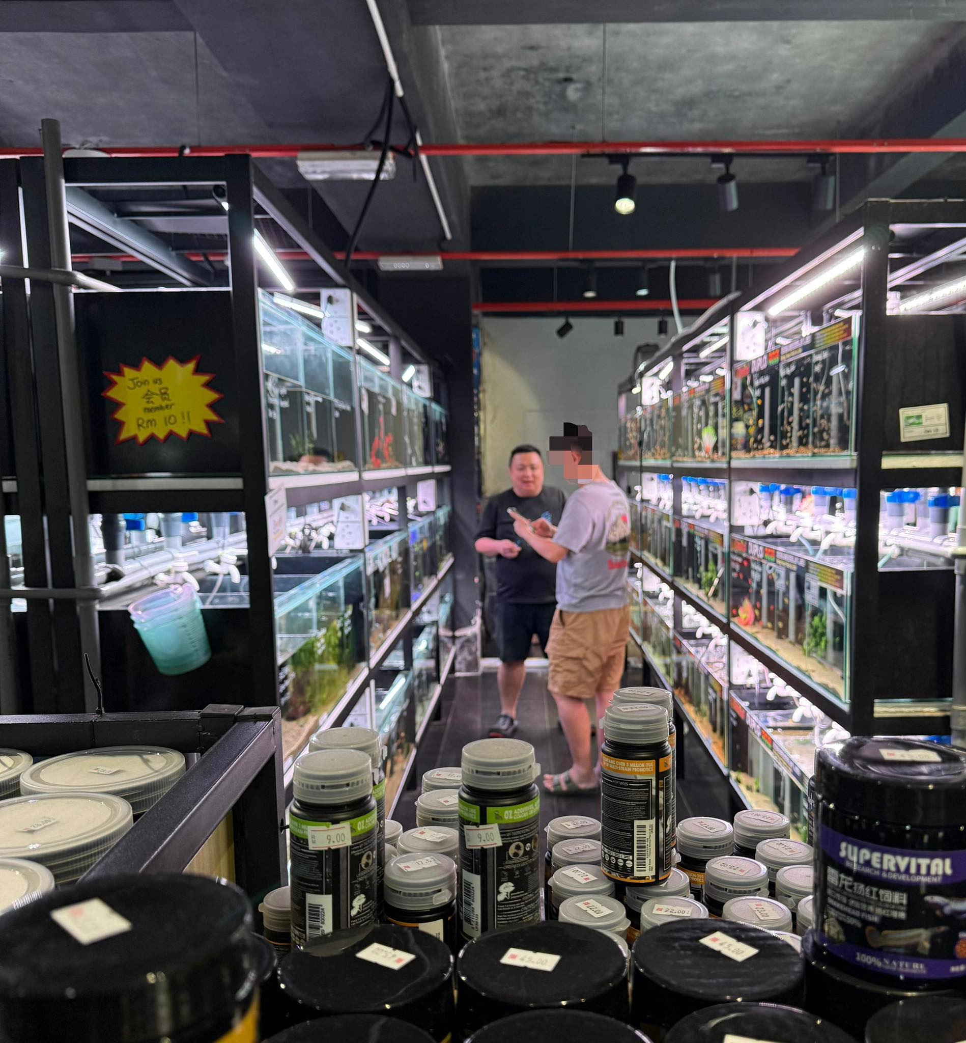 Customer returns to pay remaining amount for RM1600 pufferfish