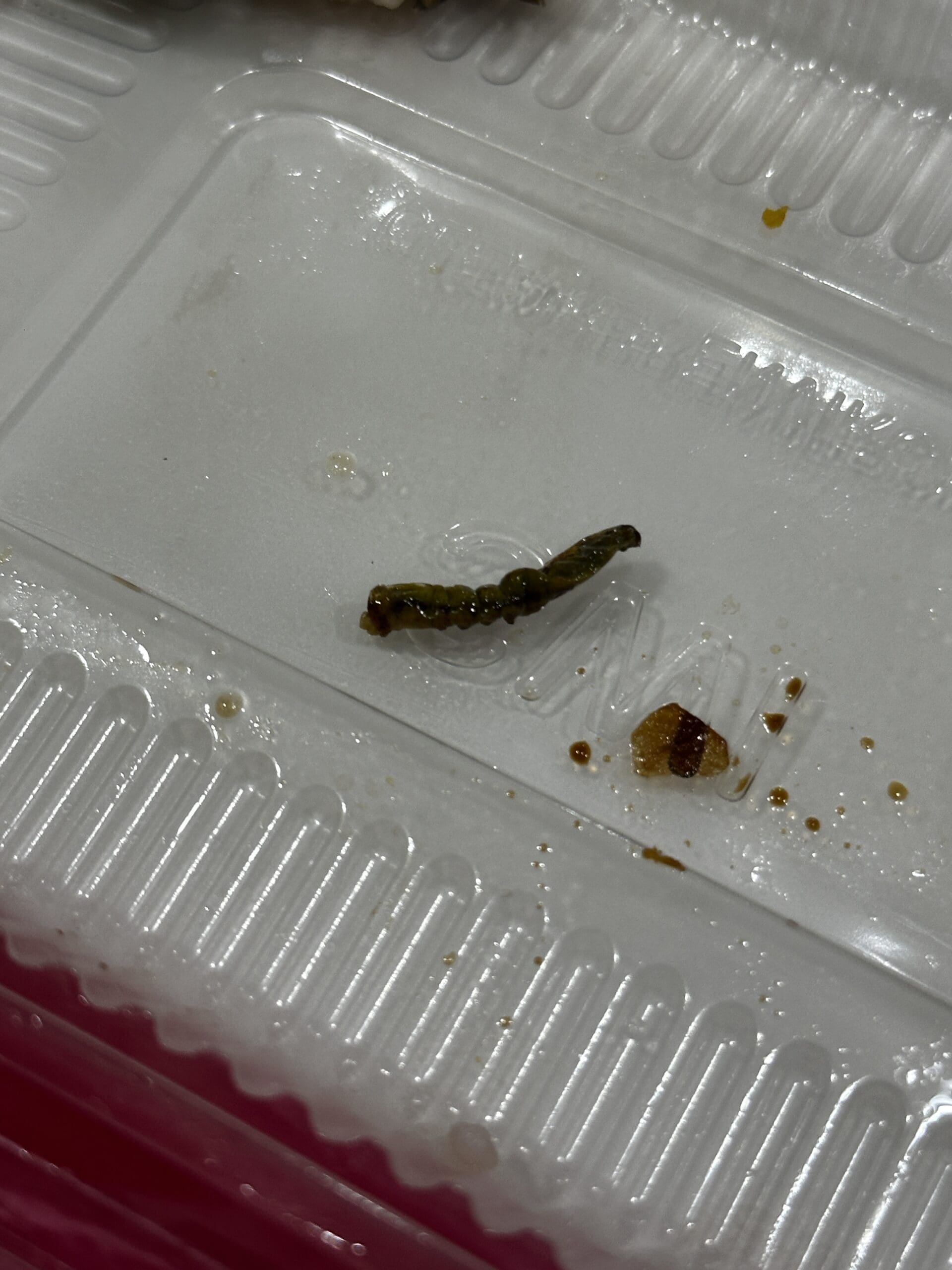 dead caterpillar in zhap fan