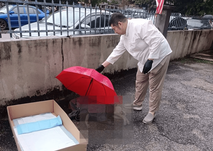 Dog falls from 17th floor