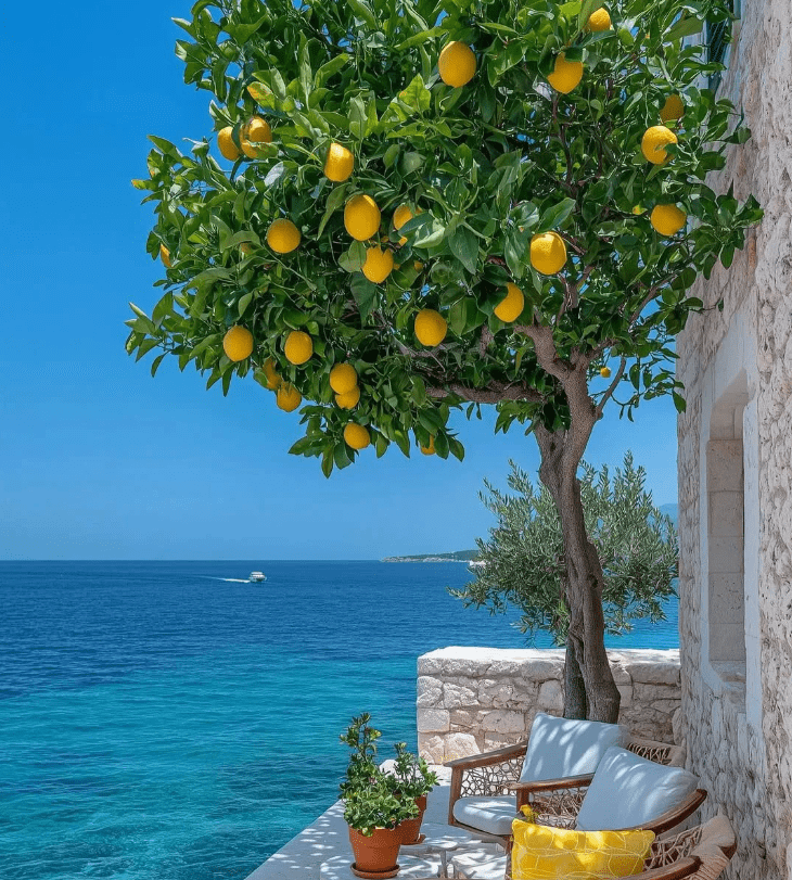 Dream view in cafe
