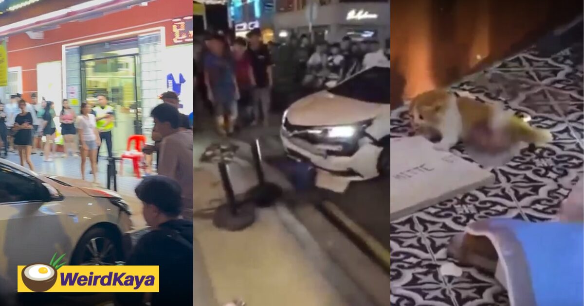 Driver Crashes Into JB Restaurant Injuring 2 Children & A Kitten, Suspected Of Drug Or Drunk Driving