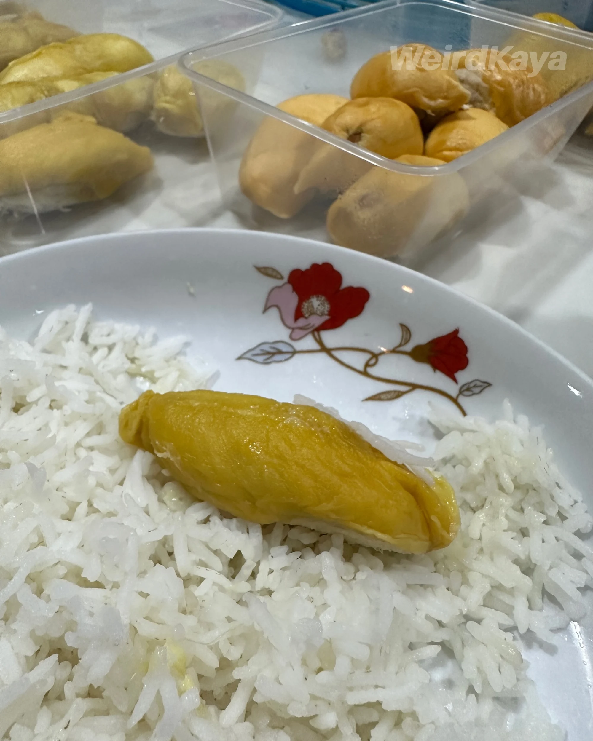 Durian_Durian Rice_Malaysia_King Of Fruit