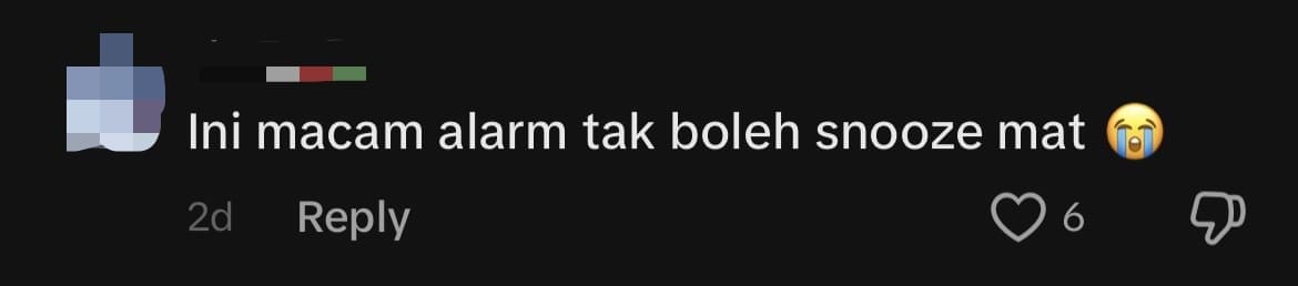 M'sian Man Uses Rooster As 'Alarm Clock' To Wake Friend Up, Tickles Netizens comment 2
