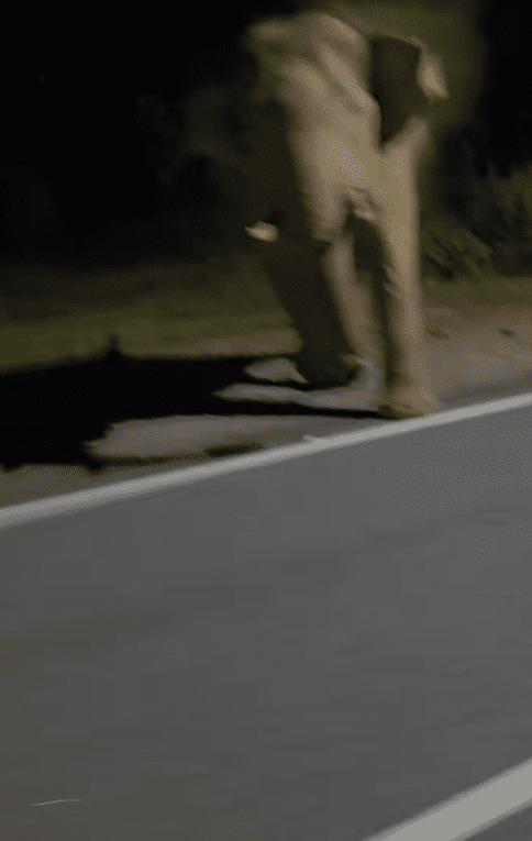 Elephant charges towards driver