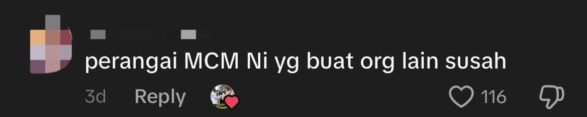 Elephant Charges At M'sian Man After Getting Provoked, Nearly Hits Passing Car comment 1