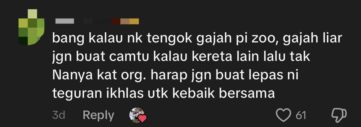 Elephant Charges At M'sian Man After Getting Provoked, Nearly Hits Passing Car comment 2