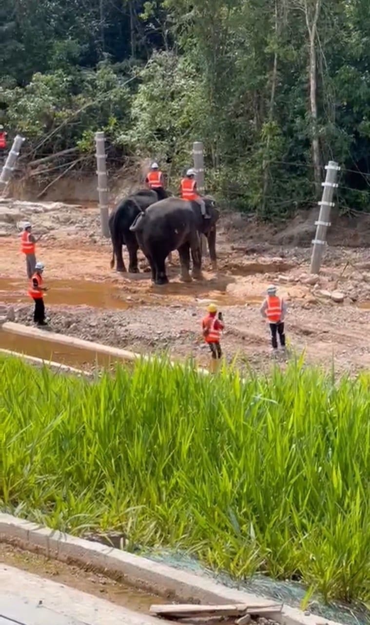 elephants doing inspection at ECRL Project Site