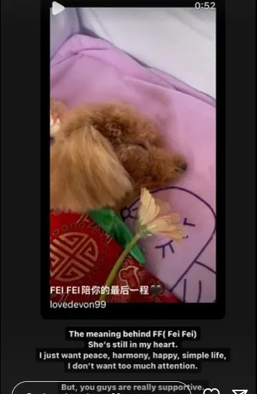A screenshot of the woman who lost the bid of FF9 number plate, reminiscing her deceased dog.