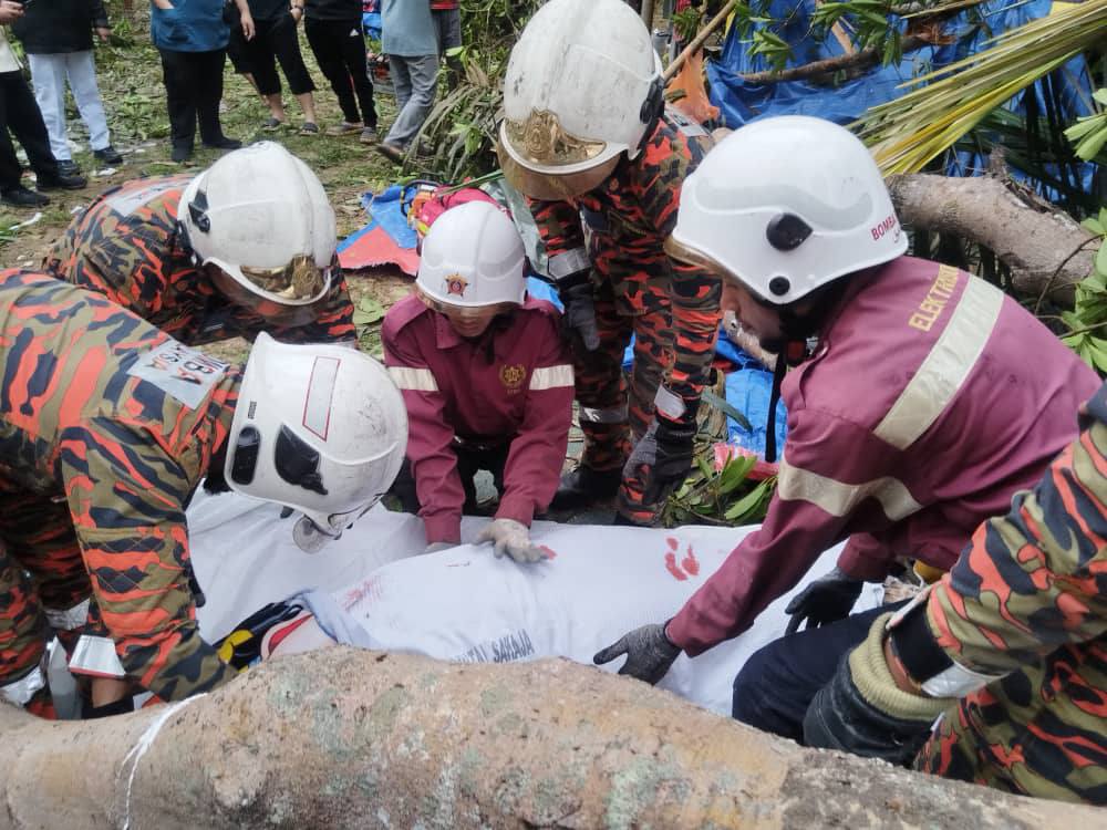 Firefighters carry body of woman who was crushed by tree 2