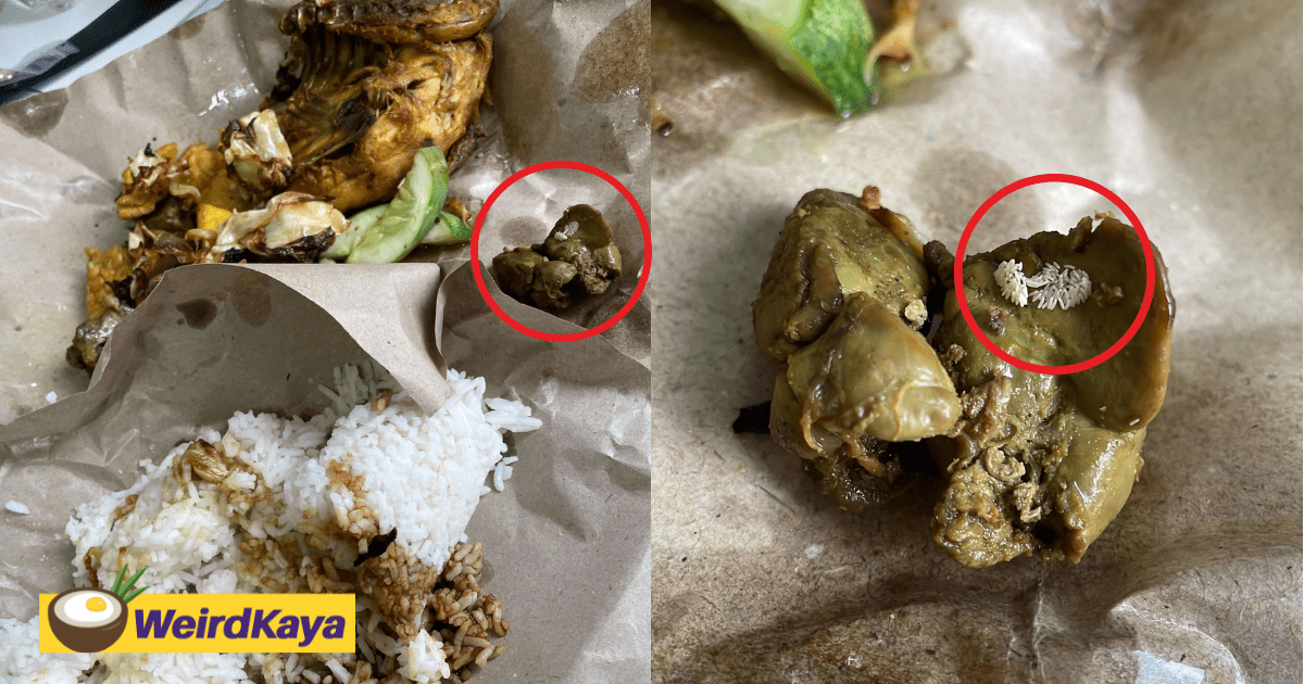 'Lost My Appetite' — M'sian Woman Finds Fly Eggs Inside Ayam Gepuk Order