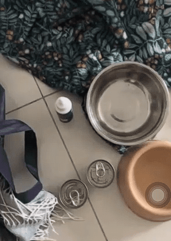 Food cans provided were not opened