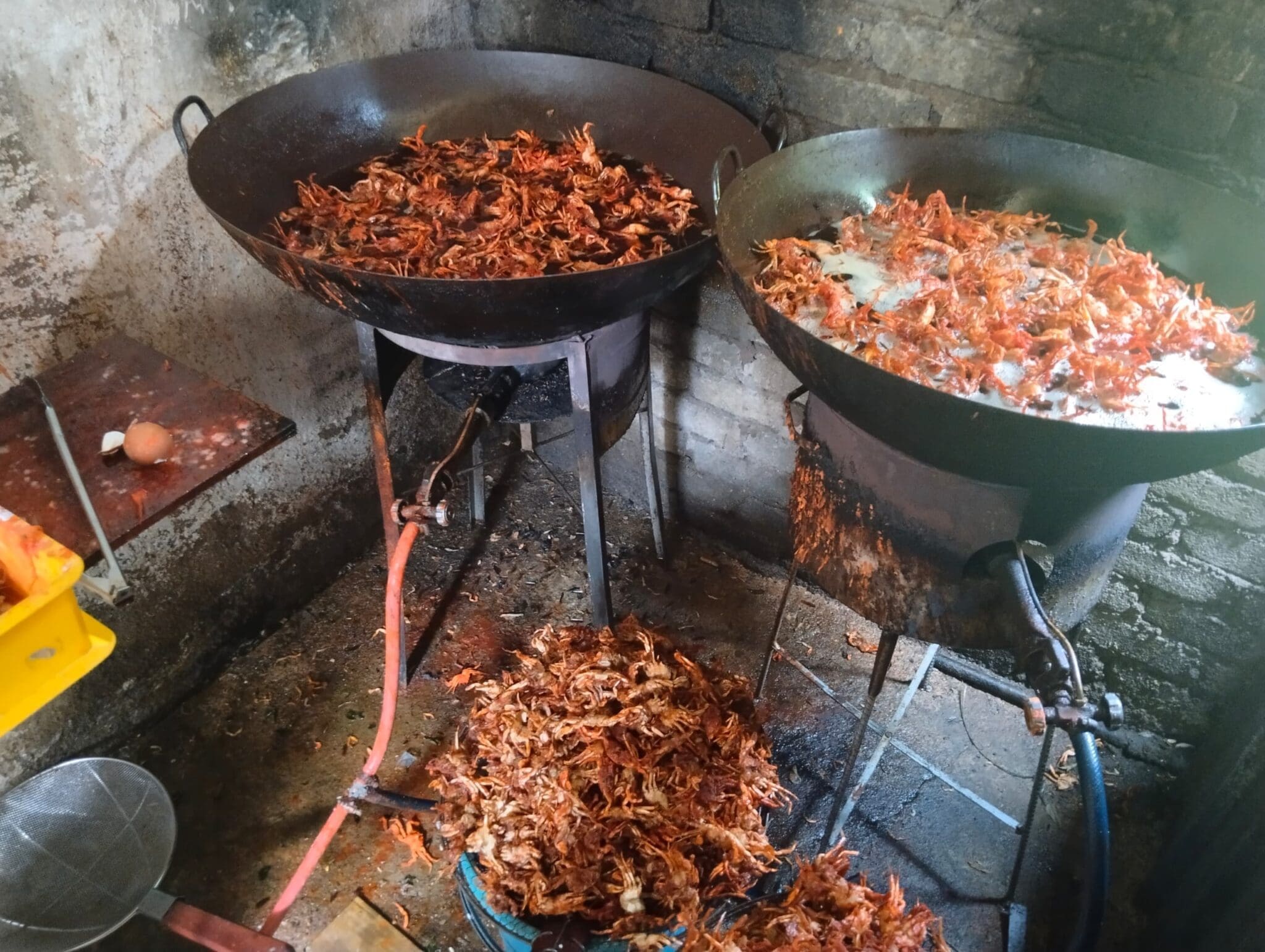 Fried baby crabs found during raid in Melaka