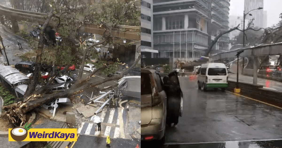 Giant Tree Fallen Along Jalan Sultan Ismail, Several Vehicles Seen Trapped Under It
