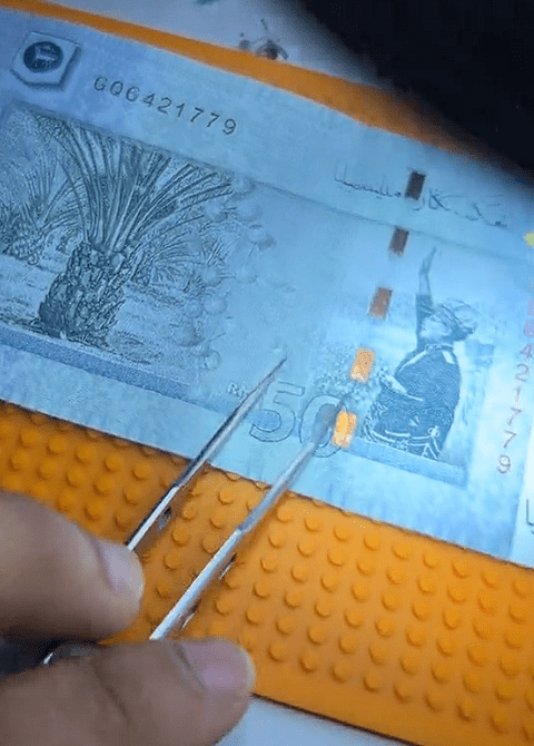 Hidden design in Ringgit Screenshot 2024-11-16 120036 (3)