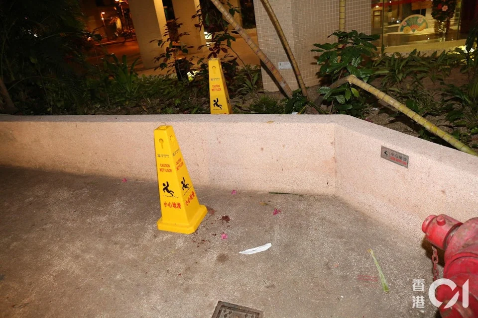 HK firefighters trying to save cat (2)