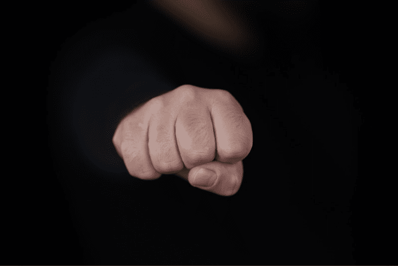 human fist