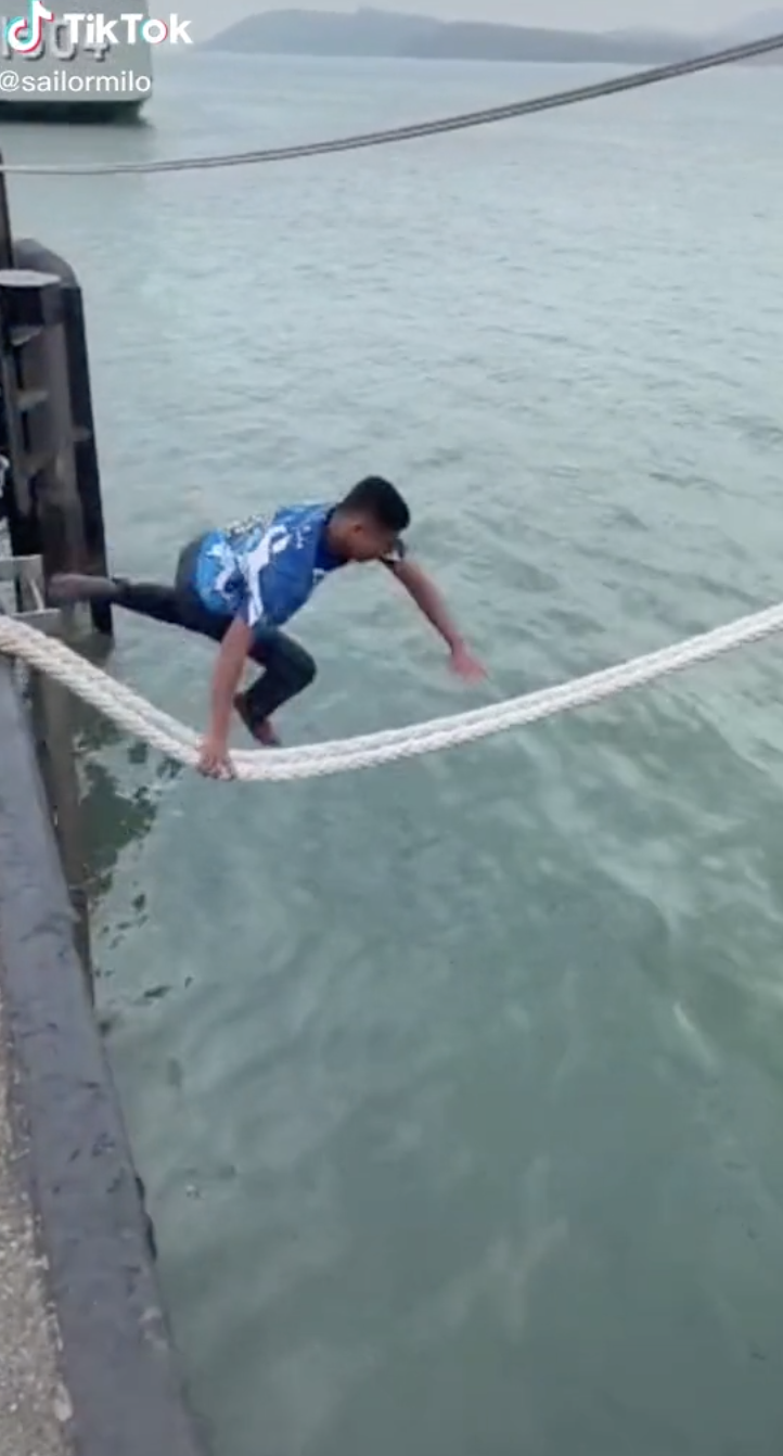 [video] sailor praised for jumping into sea to save cat trapped on ship's bow