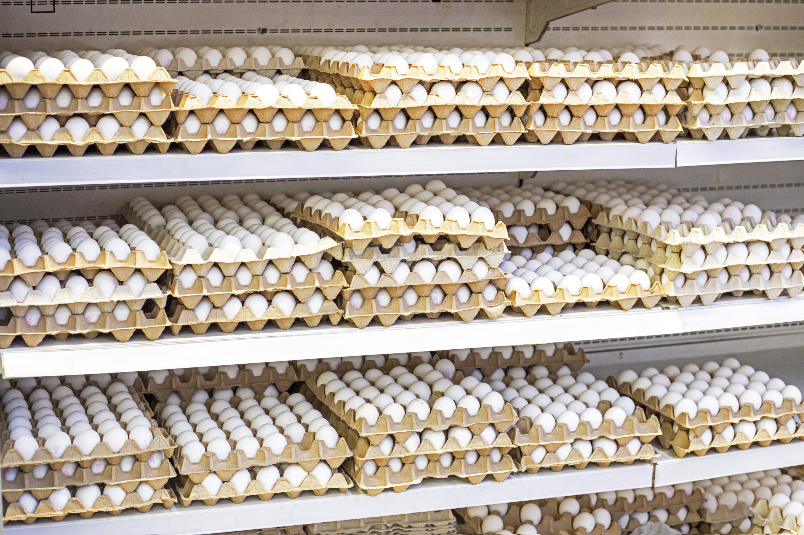 Eggs sourced from cage-free farms, displayed for consumers in grocery outlets.