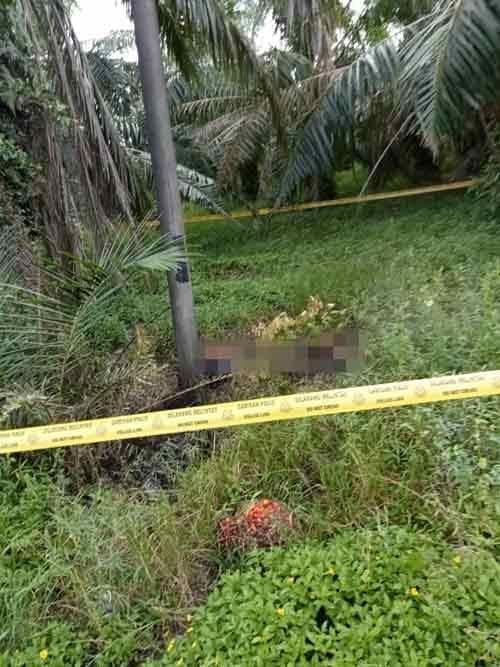 M'sian Woman Whose Charred Body Was Abandoned At Palm Oil Plantation Stabbed By Boyfriend Over Pregnancy