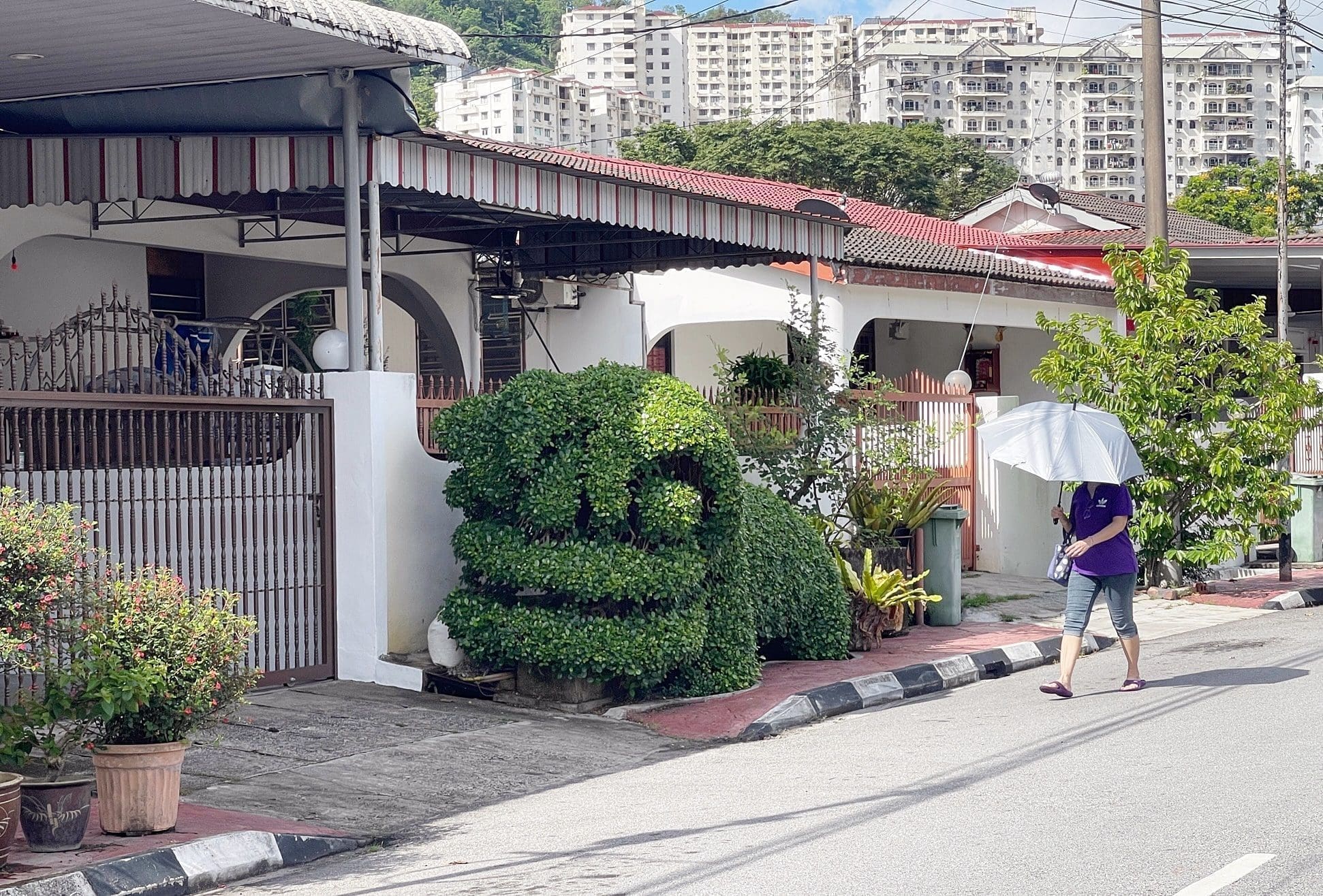 Penang Man Turns Money Tree Into 'Dancing Lion' Sculpture At Residential Area, Wows M'sians