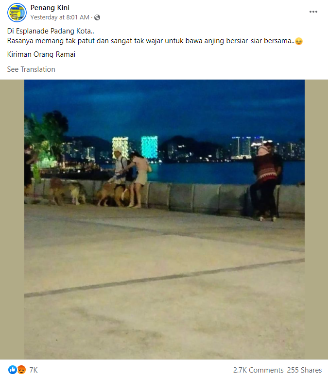 Should owners bring their dogs to public places for a walk? Malaysians seem to be divided over it | weirdkaya