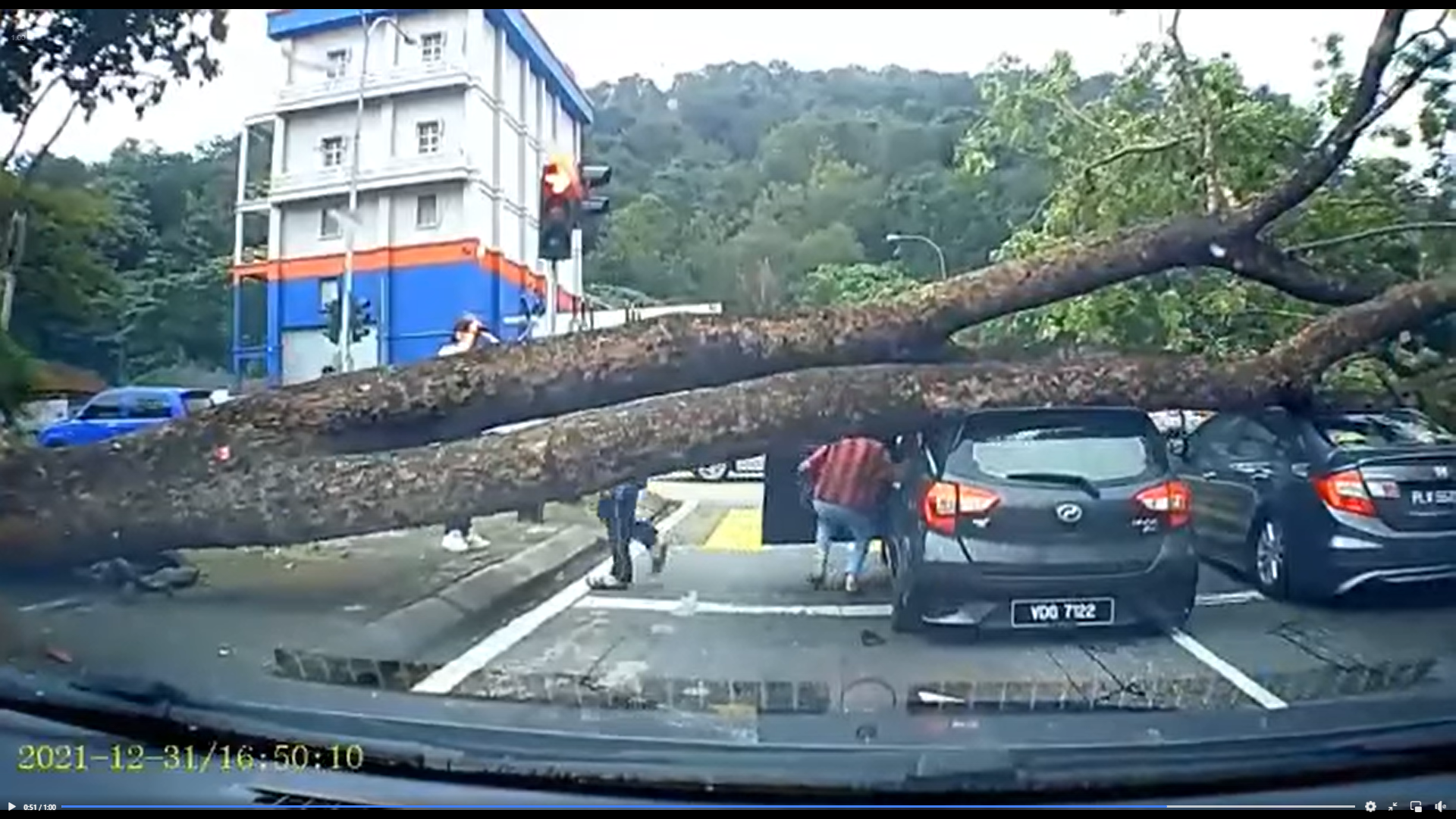 Huge tree crashes down on two cars waiting at a traffic light in wangsa maju