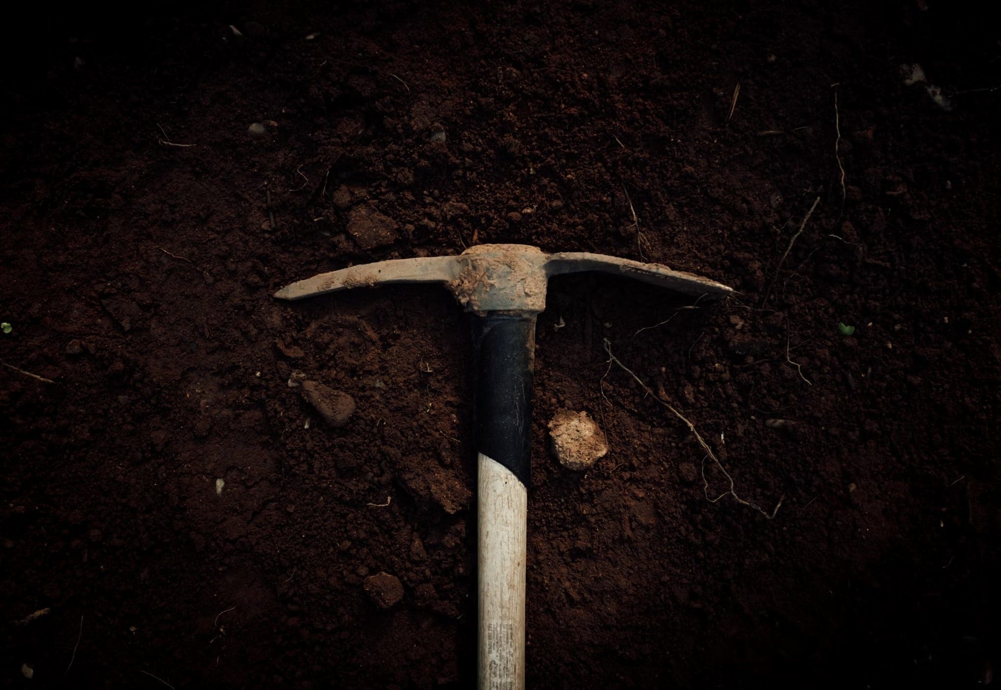 garden hoe