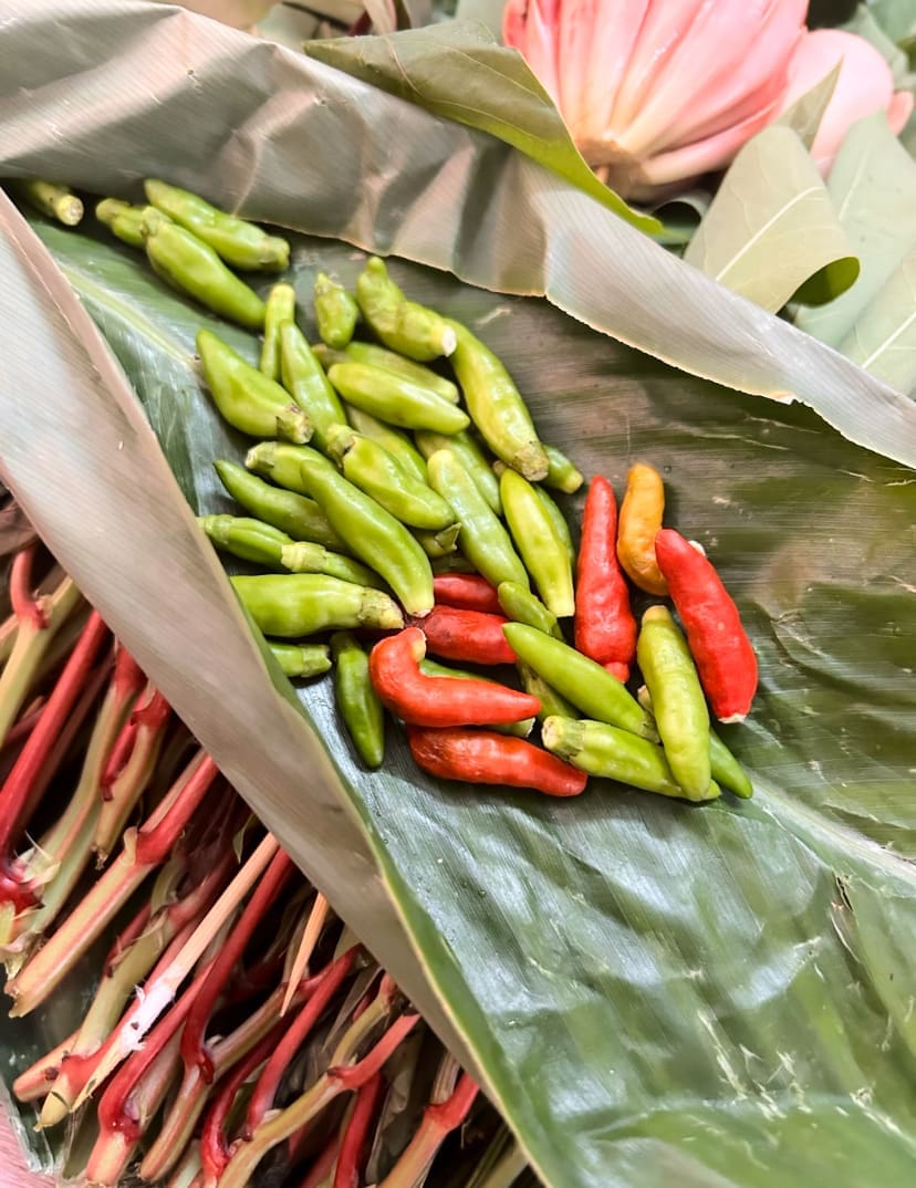 cili padi