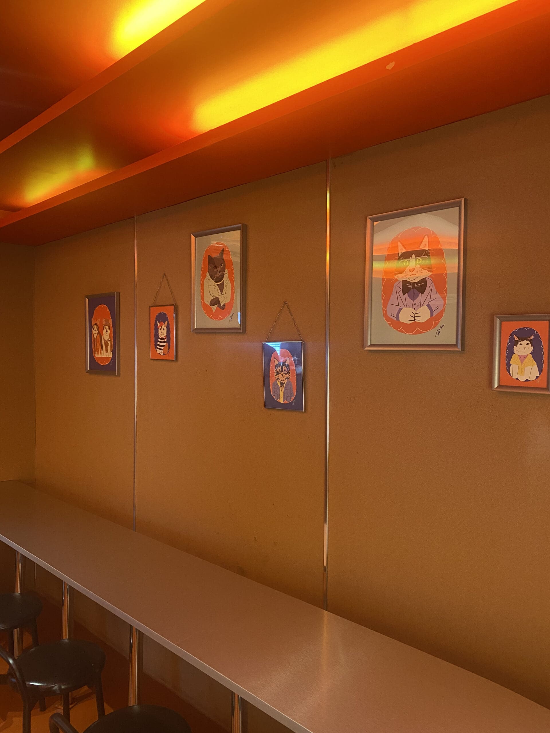 Poppy Kat Cafe plastered with cat paintings