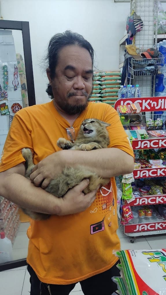 cat in Kim Leong Mini Market in Penang