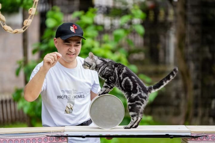 Li Jiangtao, the cat owner of Bao Zi
