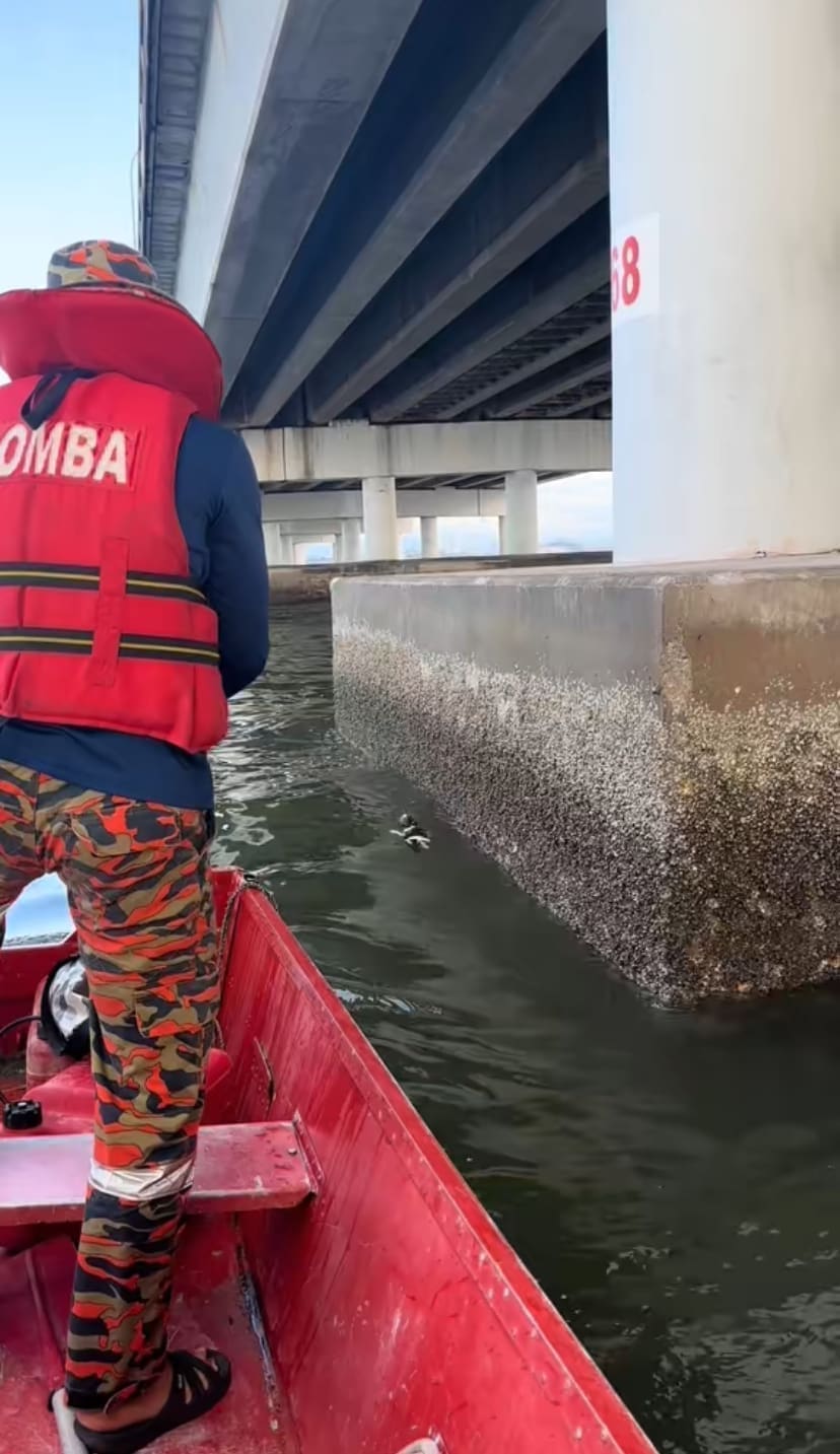 Bomba in attempt to save the cat that was floating at the Penang Bridge