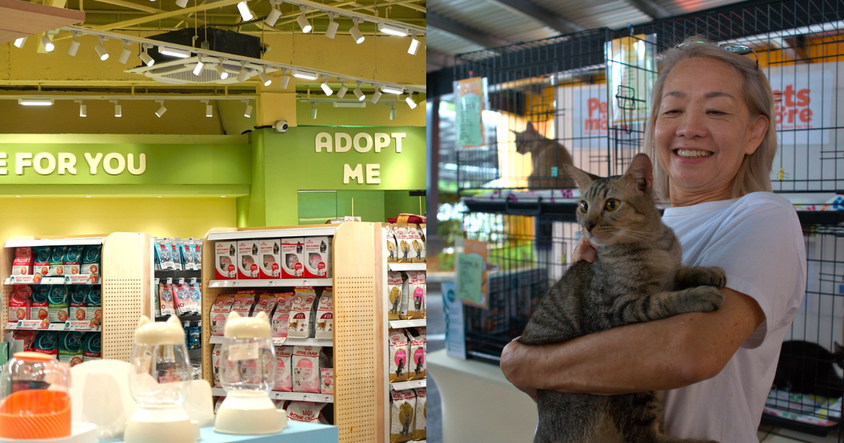 Interior of Petsmore's flagship store, it even comes with an in-store adoption space