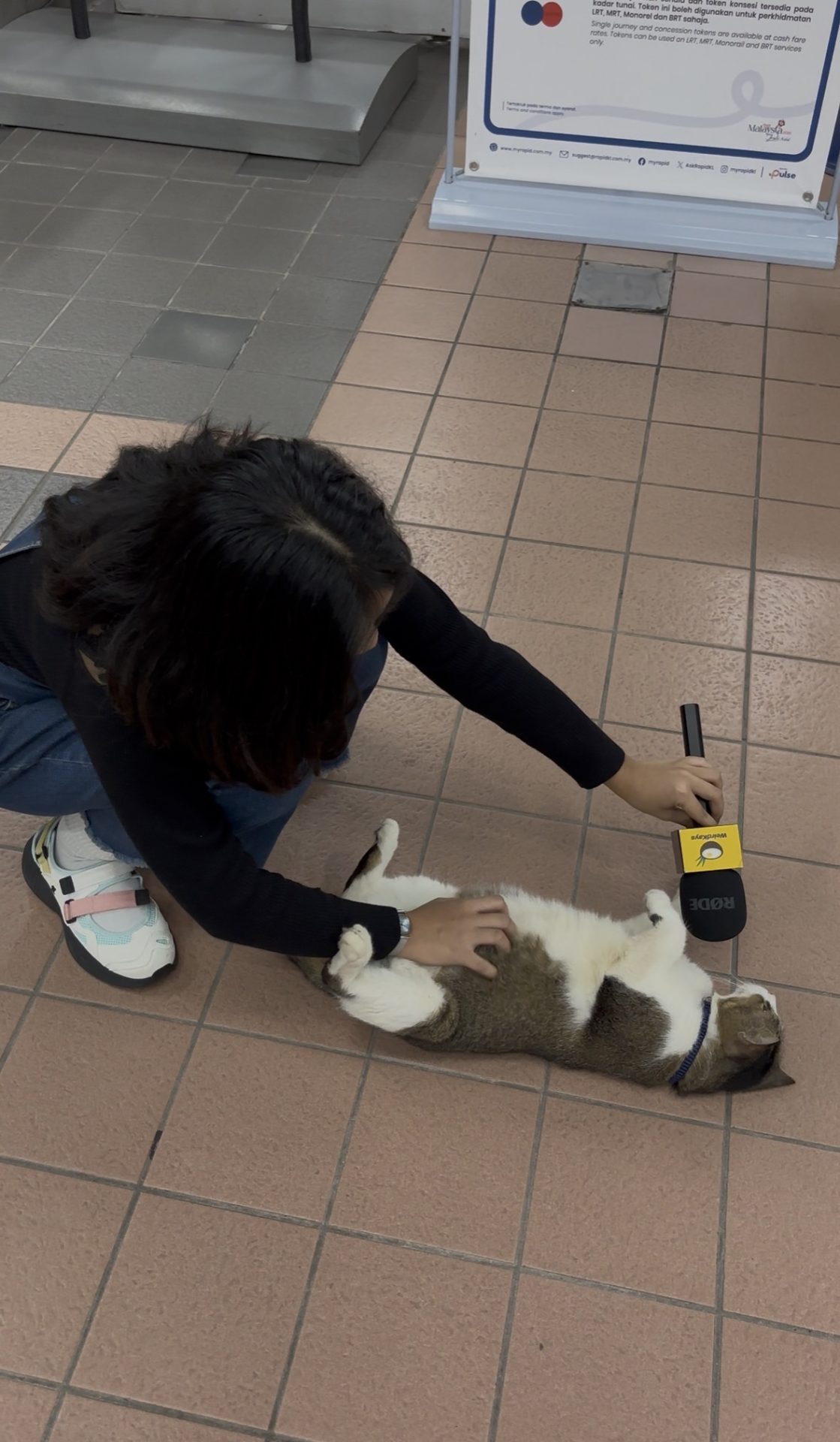 interviewing-new-cat-at-lrt-wangsa-maju.jpg
