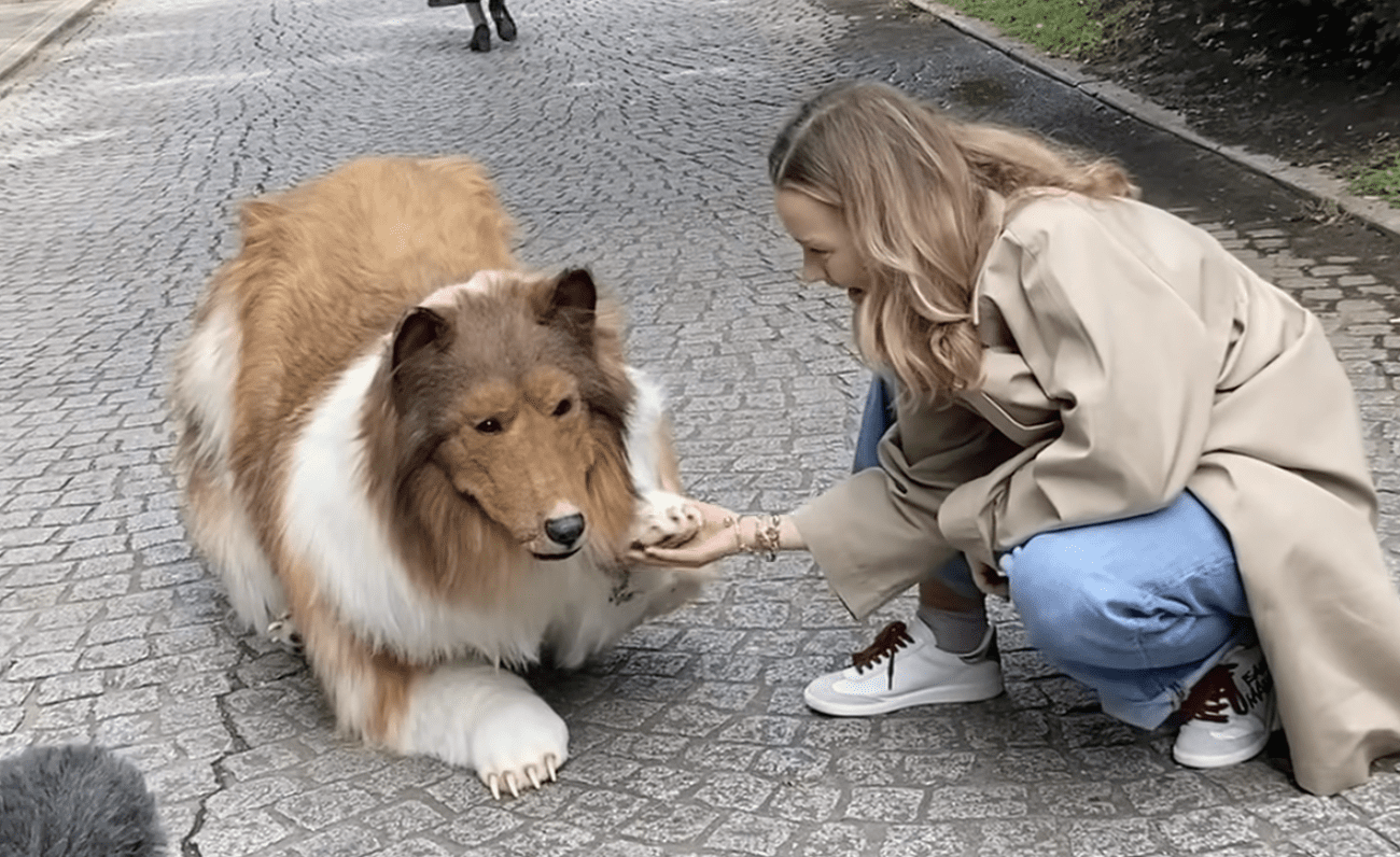 Japanese Man Spends RM65k To Fulfil His Dream… As A Dog  1
