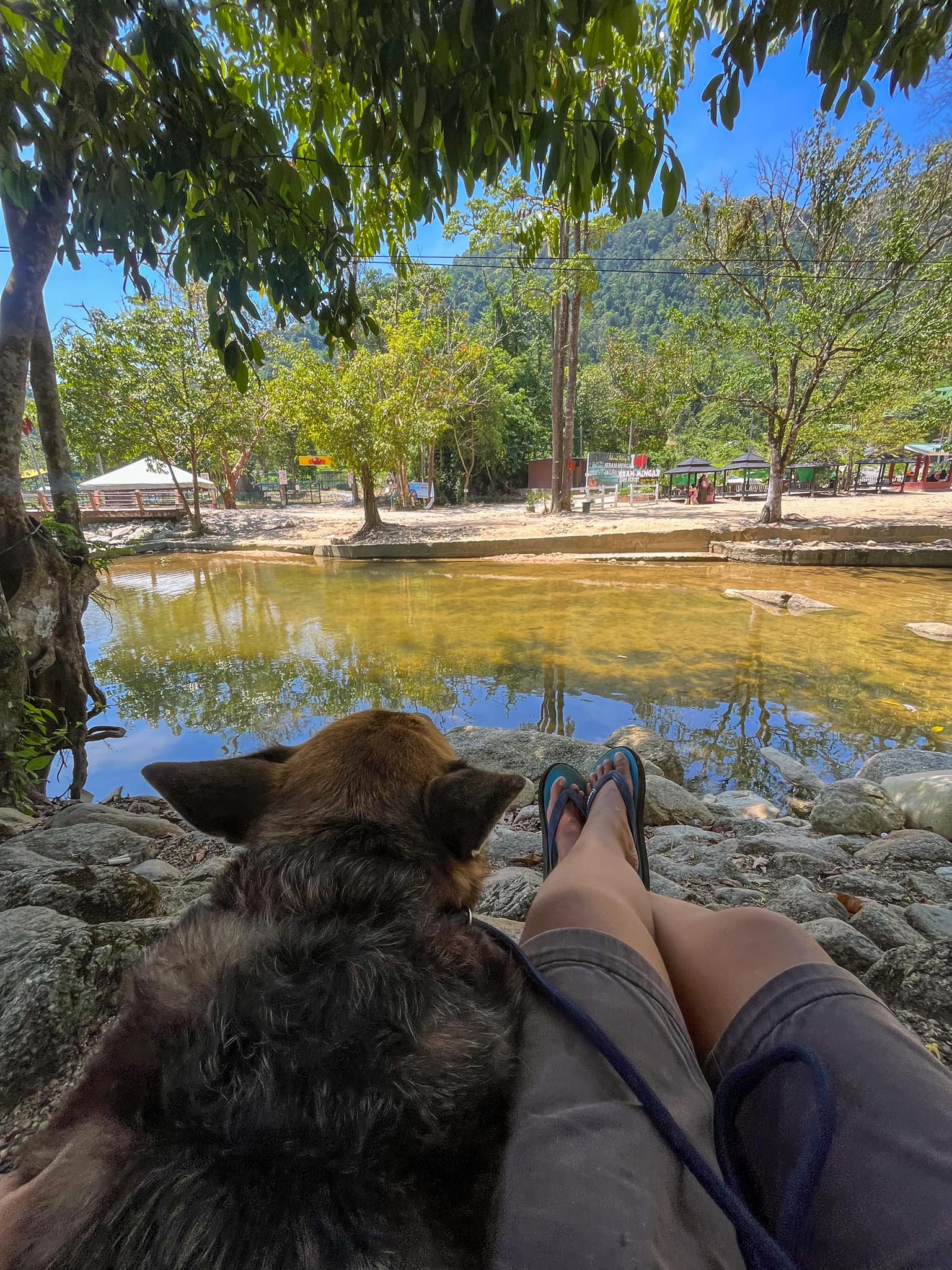 Jen Wong and her dog 02