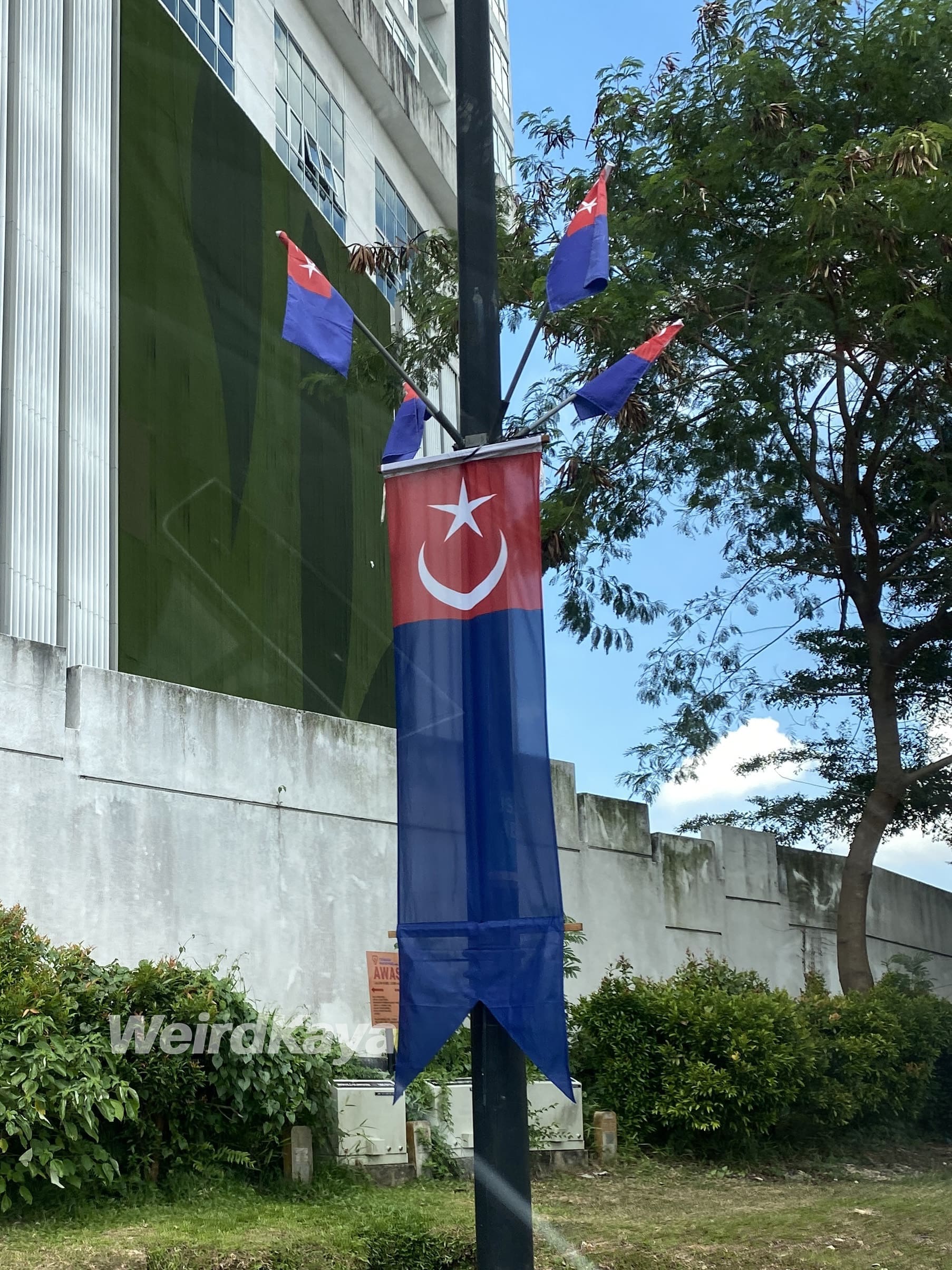 Johor flag