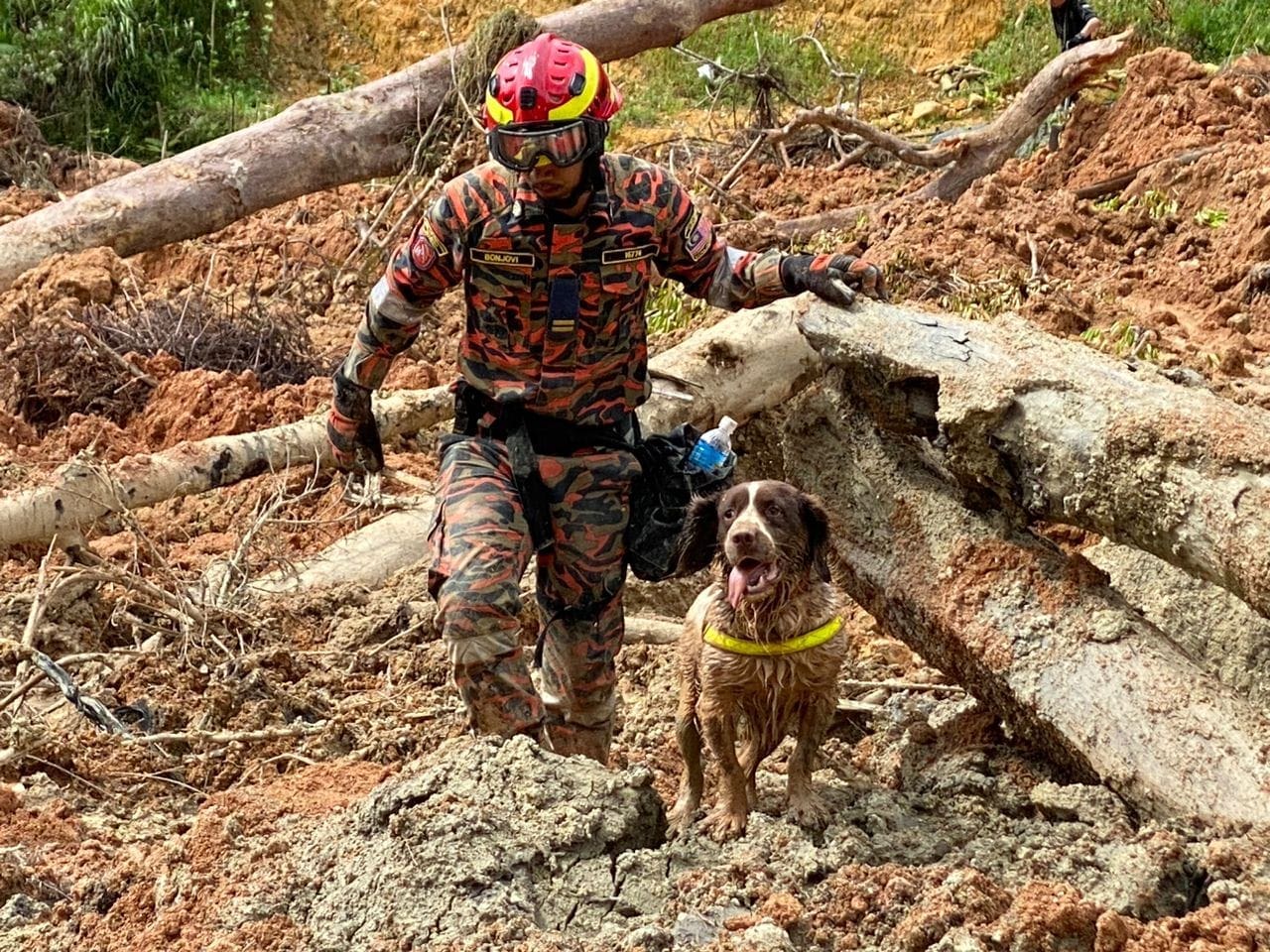 K9 sniffer dog on Batang Kali rescue mission 03