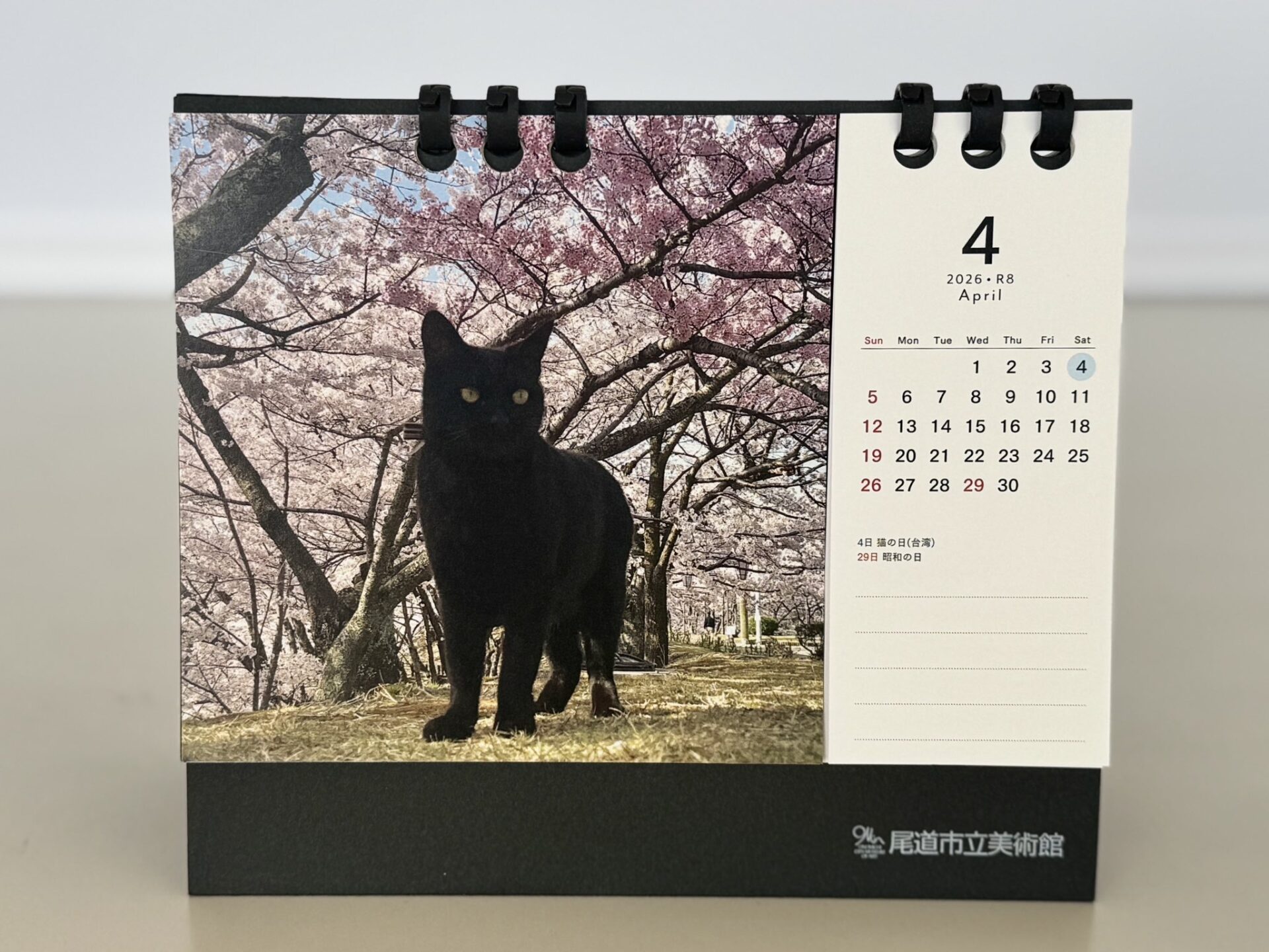 Ken-chan, The Cat Who Tried To Enter A Museum In Japan For 8 Years, Has Passed Away