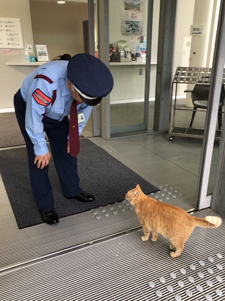 Ken-chan, The Cat Who Tried To Enter A Museum In Japan For 8 Years, Has Passed Away