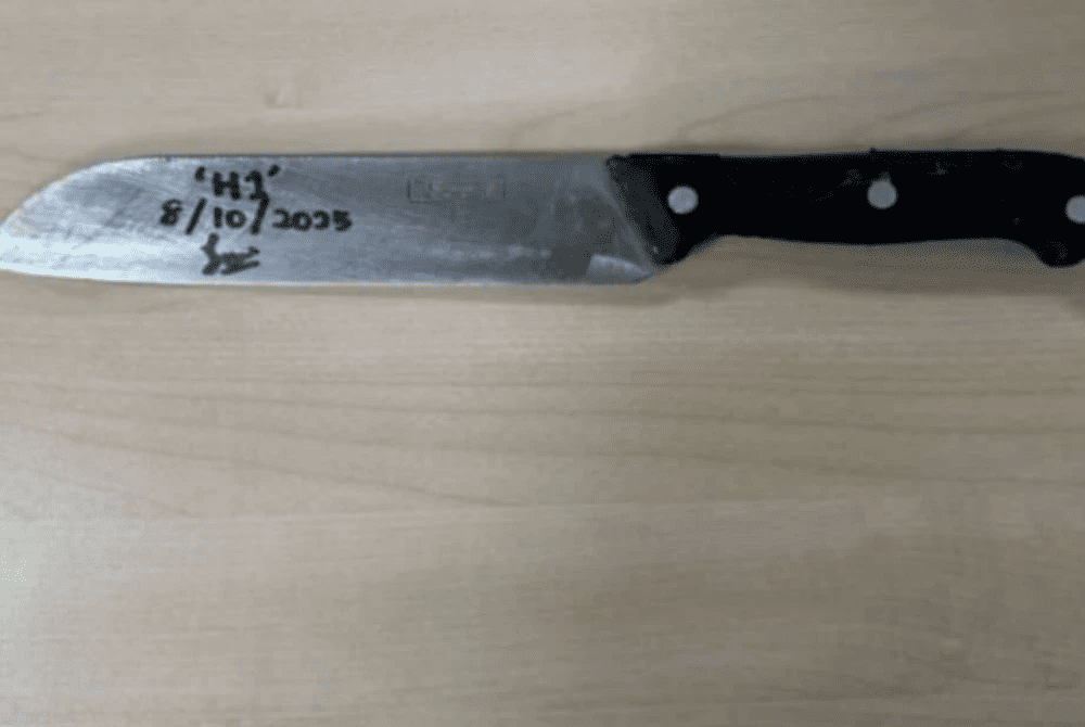 Knife used to cut off man's genitals in Johor