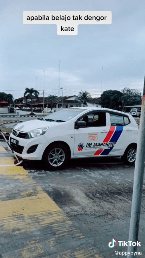 driving student hits pole