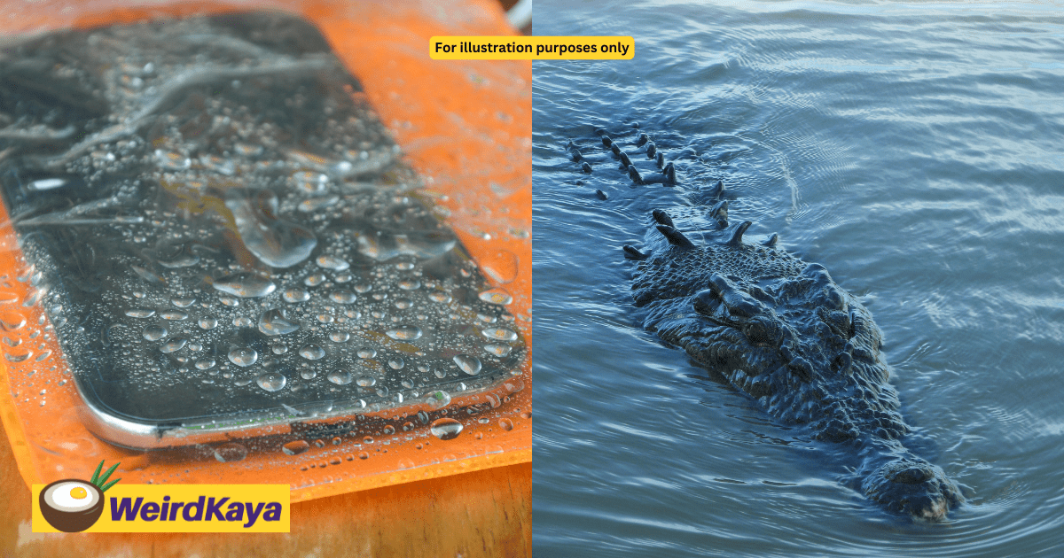 Korean Tourist Offers RM3K Reward For Lost Phone At Croc-Infested Beach In Sabah, M'sians Say 'You Sure, Bro'
