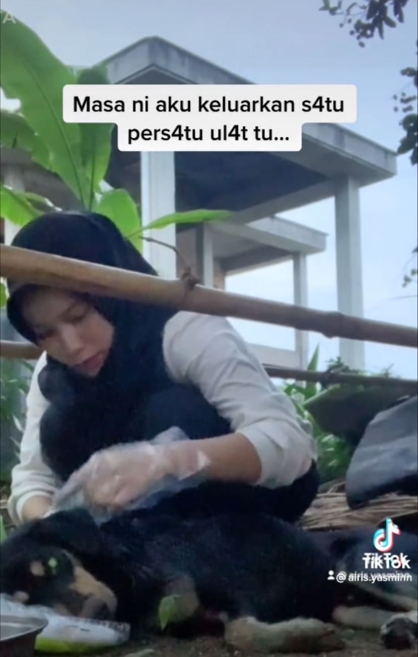 M'sian Girl Comes To The Aid Of Injured Dog Lying By The Roadside