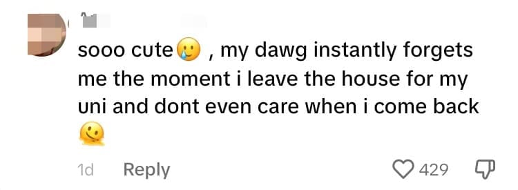 M'sian Man Reunites With Dog After 3 Weeks And It's The Sweetest Thing Ever comment 3