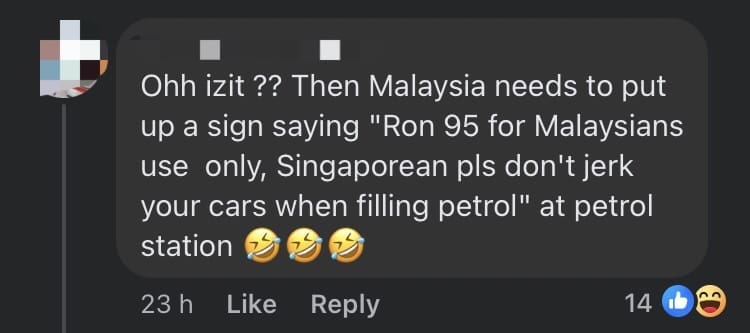 'How About Our RON95?' — M'sians Irked By SG Drivers Being Told To Put 'Nothing To Steal' Sign When Visiting comment 2