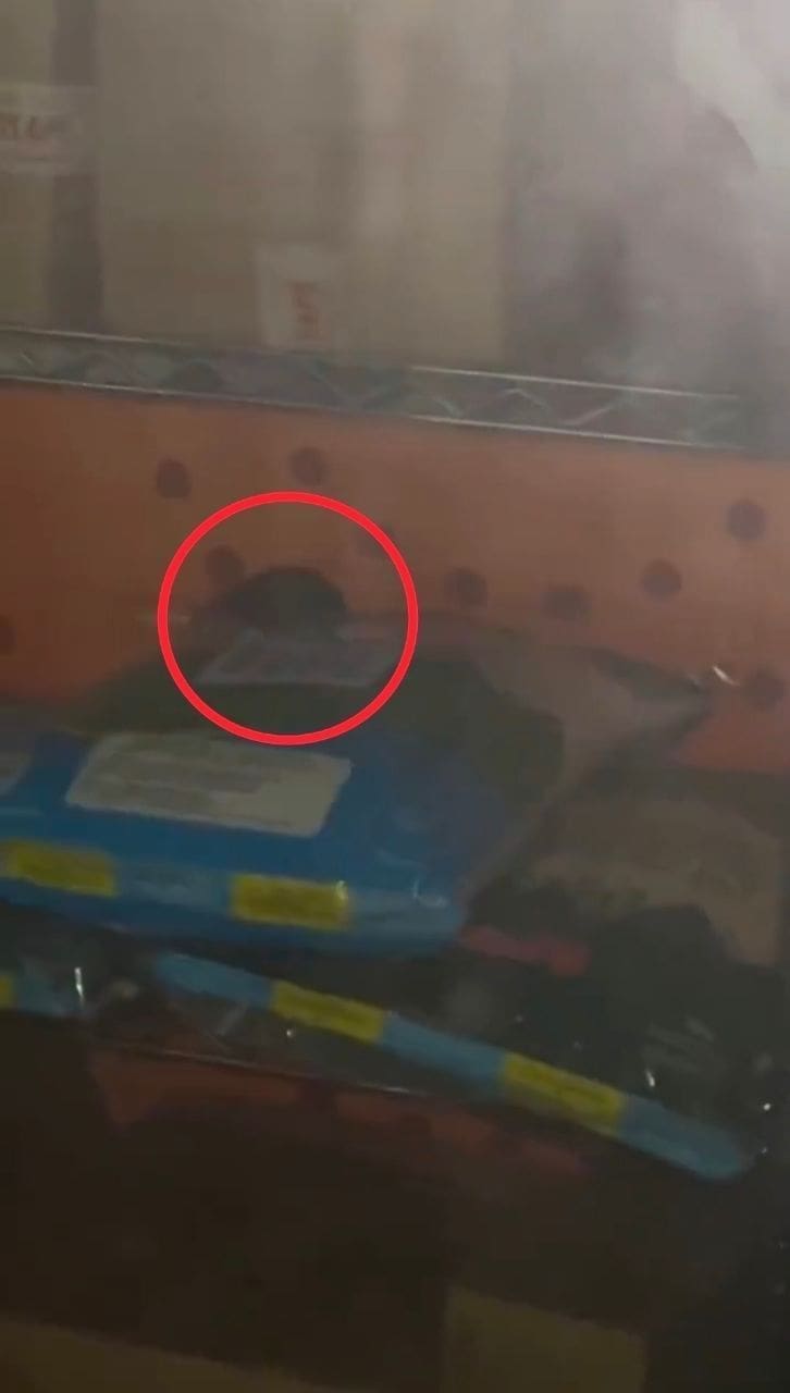 Rat Spotted At AEON Cheras Selatan McDonald's Branch, Netizens Disgusted