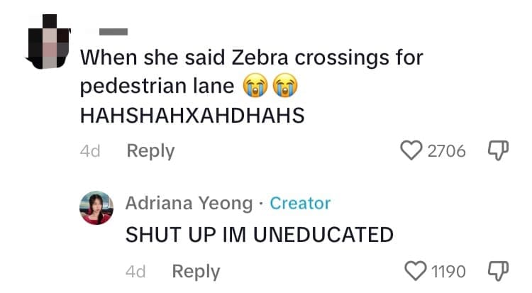 M'sian Girl Stops Herself Before Jaywalking In JB, Jokes That She Has 'Betrayed Her Family & Country' comment 2