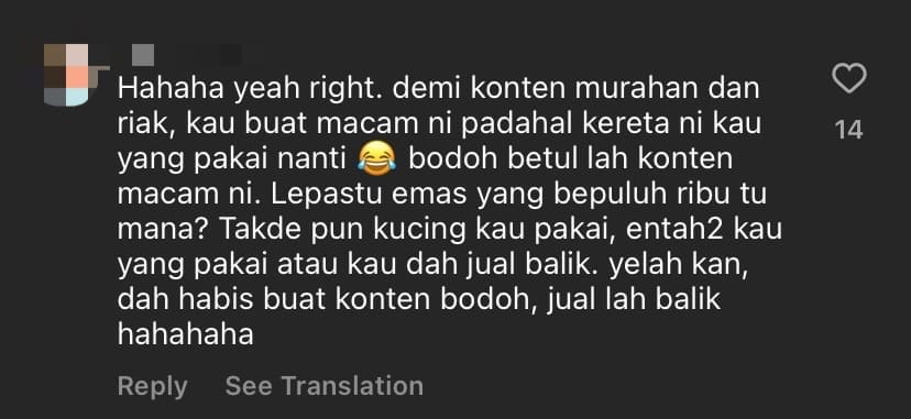 M'sian Entrepreneur Gifts BMW Car To Her Pet Cat, Sparks Debate Online comment 3