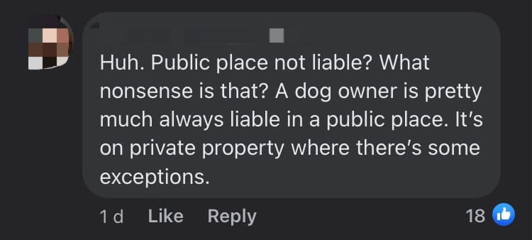 Dog Bites 4yo Boy At Christmas Event In S'pore, Owner Says She's Not Liable For His Injuries comment 1